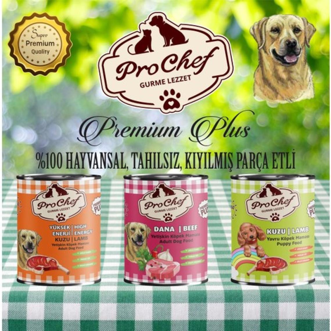 Prochef 24 Adet Premium Plus Yetişkin Köpek Maması | 415 gr Dana Etli Konserve Yaş Mama