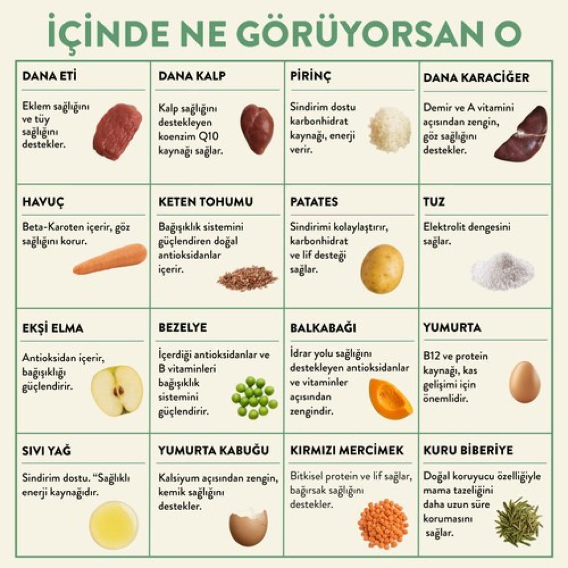 Kito Fresh Dana Etli Taze Köpek Yemeği