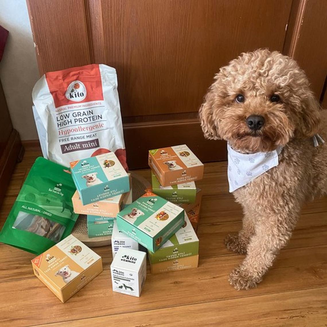 Kito Fresh Dana Etli Taze Köpek Yemeği