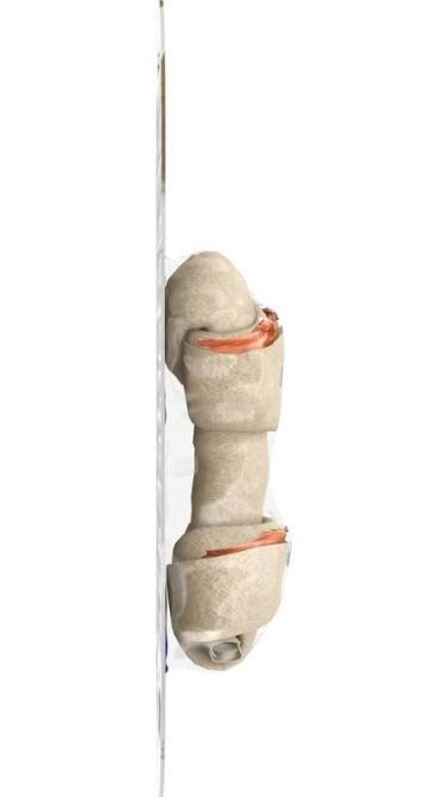 8in1 Delights Bones Biftekli Köpekler İçin Ağız Bakım Kemiği Large