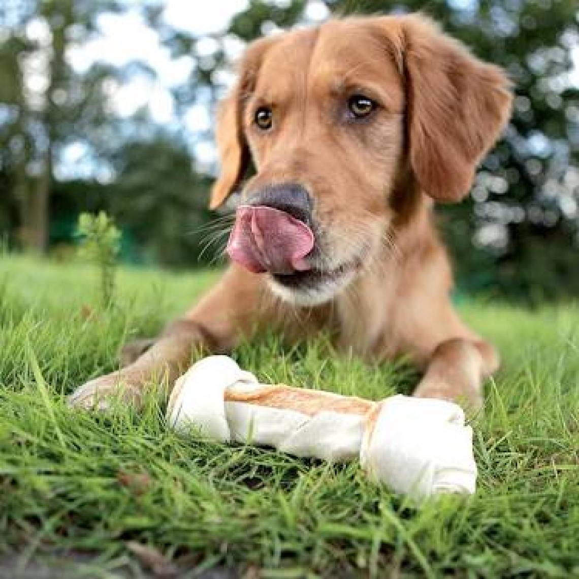 8in1 Delights Bones Köpekler İçin Ağız Bakım Kemiği Large
