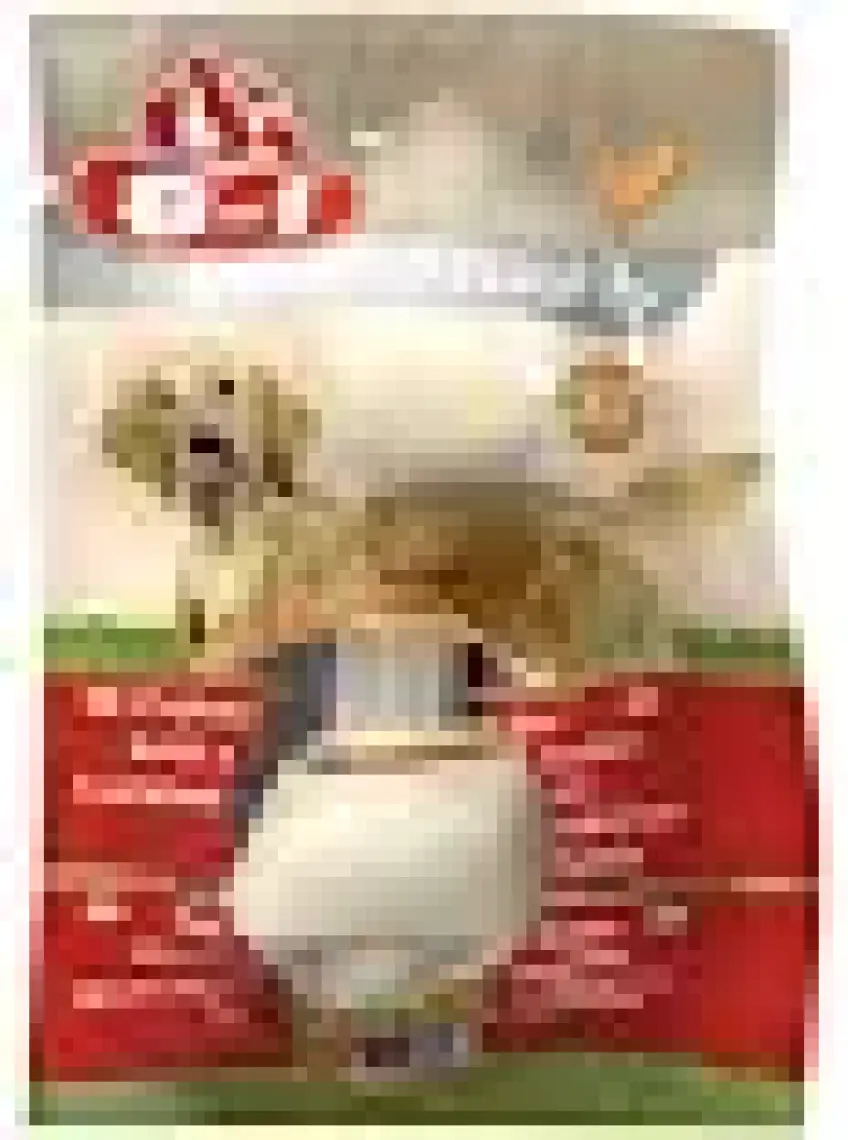 8İn1 Delights Dental Xs Köpek Diş Bakım Kemiği Small Düğüm 12 Gr
