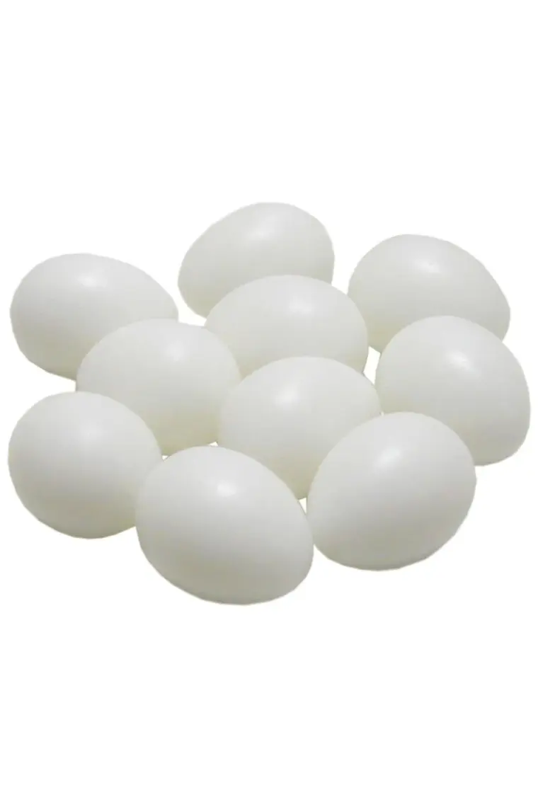Fit Fly Sahte Muhabbet Kanarya Yumurta 1 cm x10 Adet