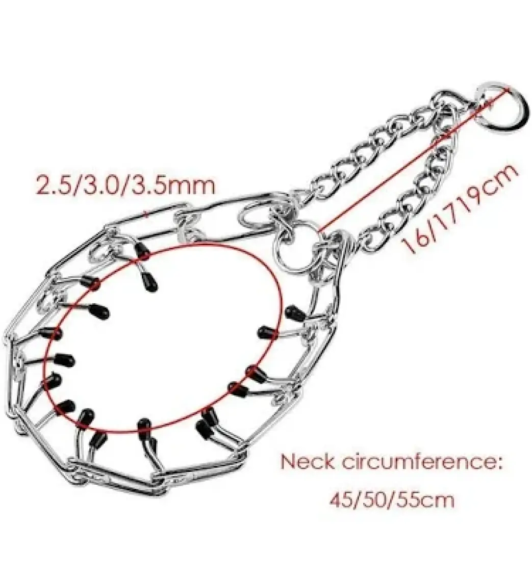 Lion Pet Köpek Eğitim Tasması 3MM*50CM