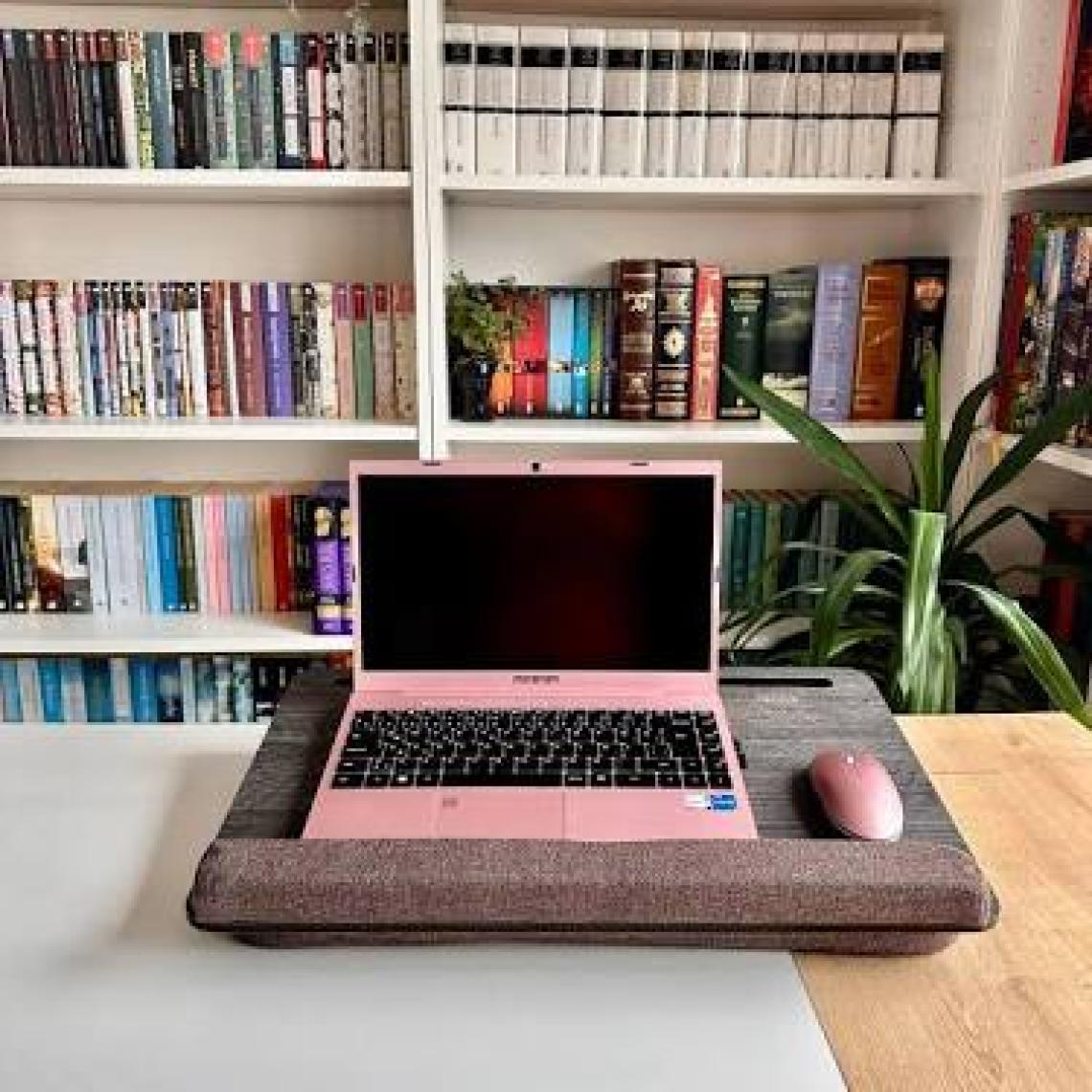 Vigo Wood Minderli Laptop Sehpası 15.6" ve 17.3" Taşınabilir Notebook, Tablet ve Telefon Bölmeli Masa