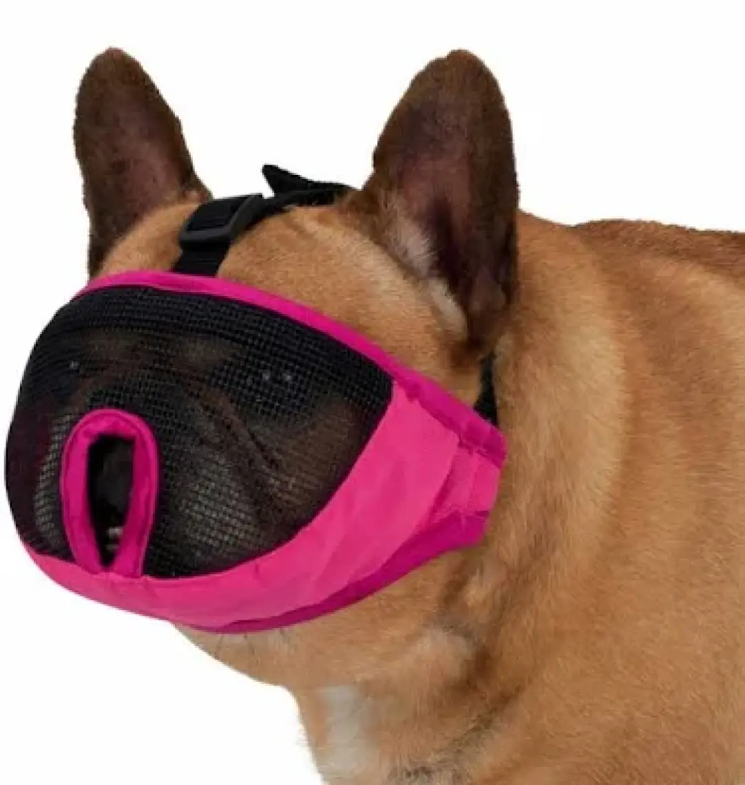 Trixie Kısa Burunlu Köpek Ağızlığı M Kısa Gri