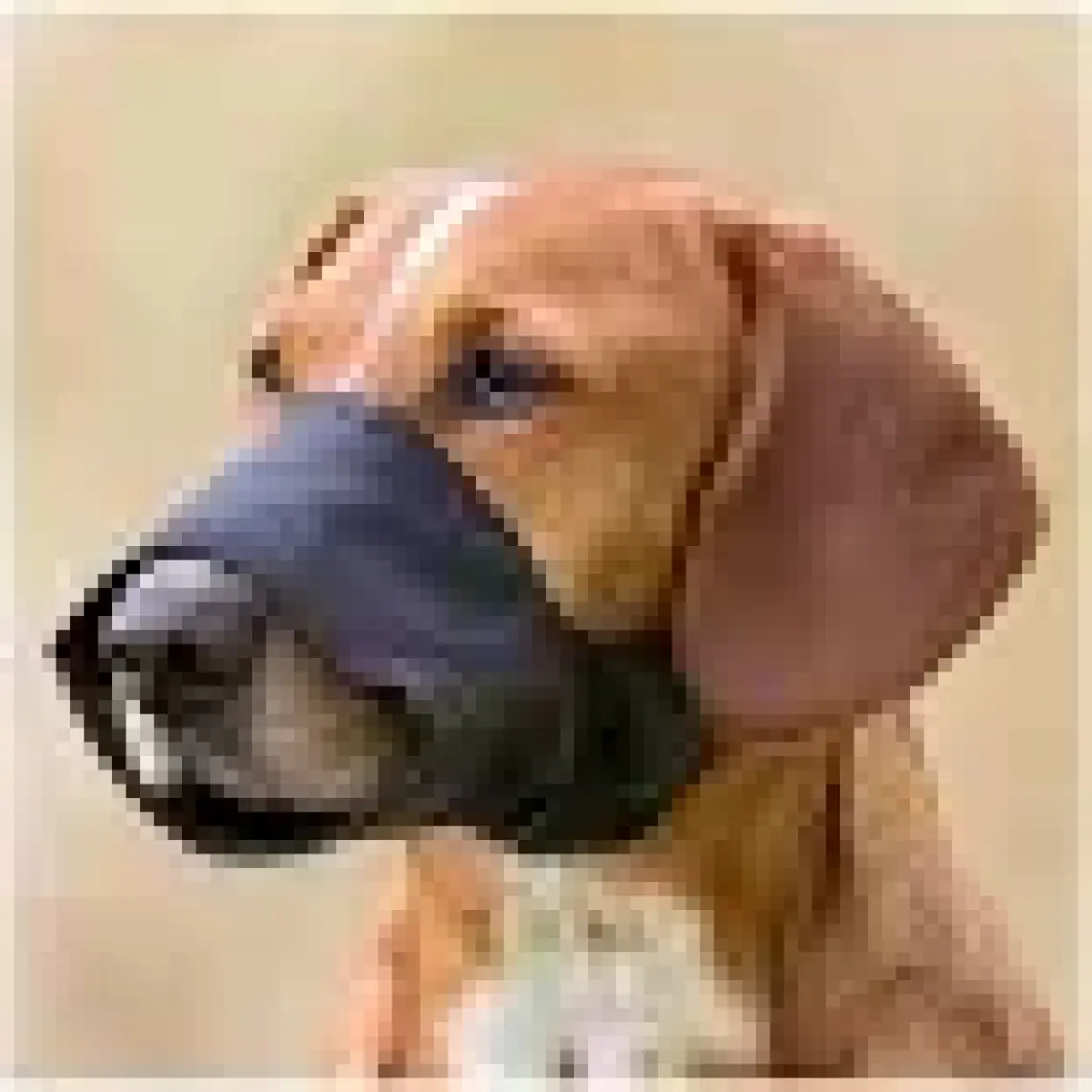 Trixie Köpek Ağızlığı Siyah Large 30 Cm