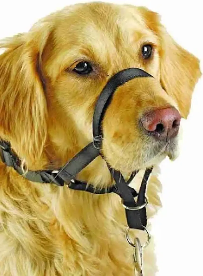 13027 Muzzle Black 7M/Ağızlık