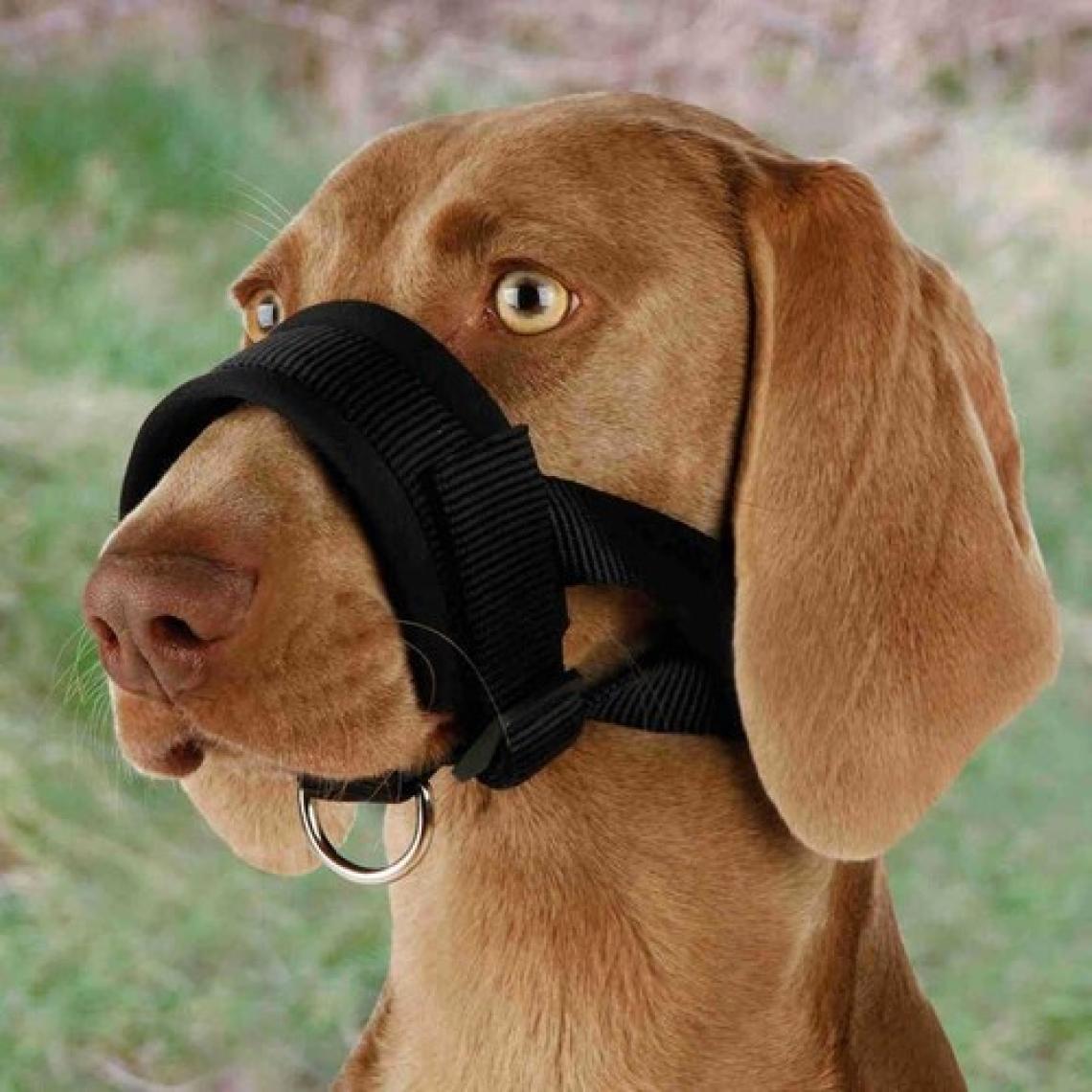 Trixie Köpek Ağızlık  L ( Doberman )