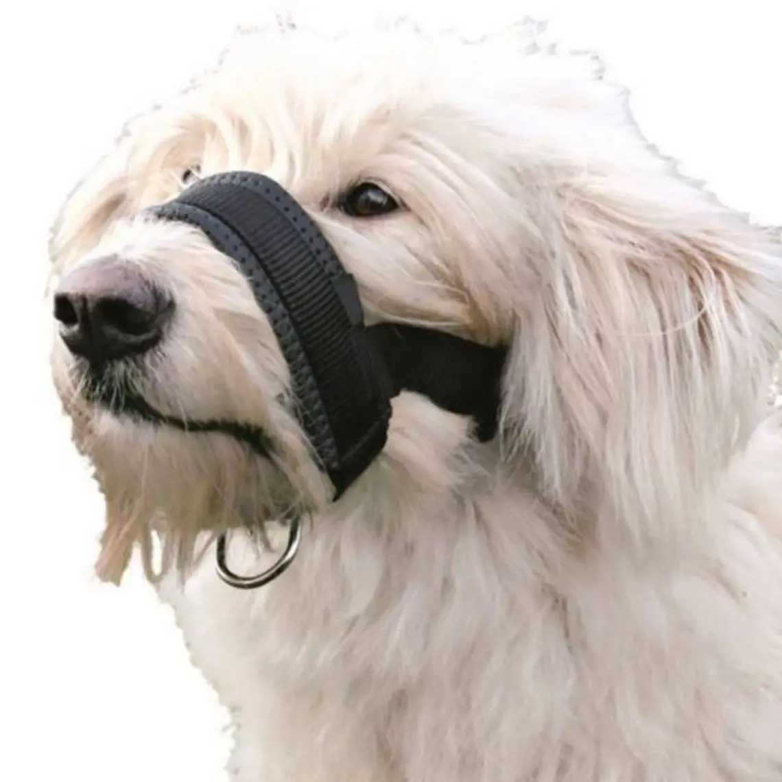 Pawise Dog Padded Muzzle Size 3 Bez Ağızlık
