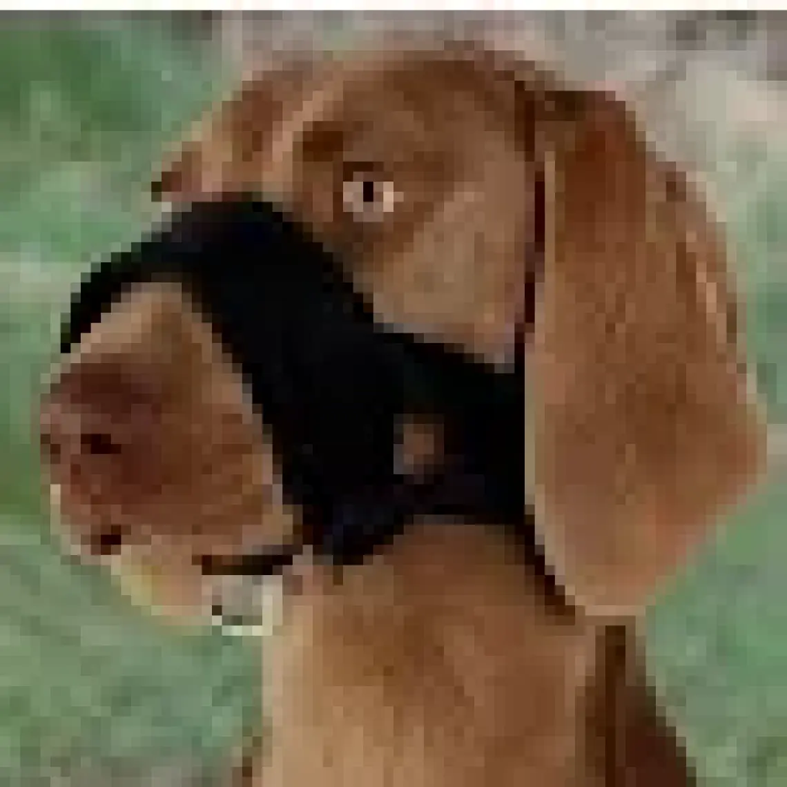 Pawise Dog Padded Muzzle Size 3 Bez Ağızlık