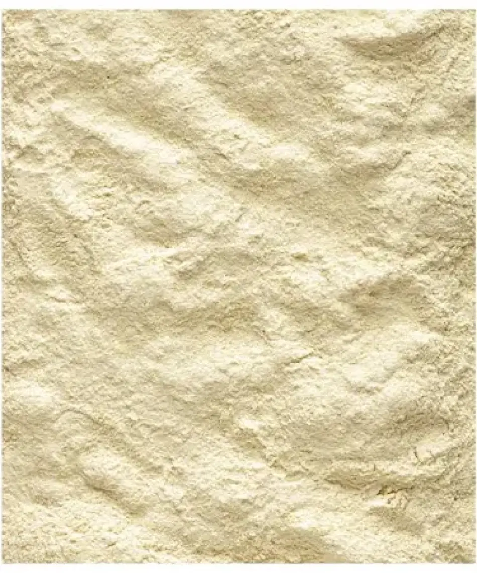 Versele Laga Nutrıbırd A21 Elle Yetiştirme Maması 3kg