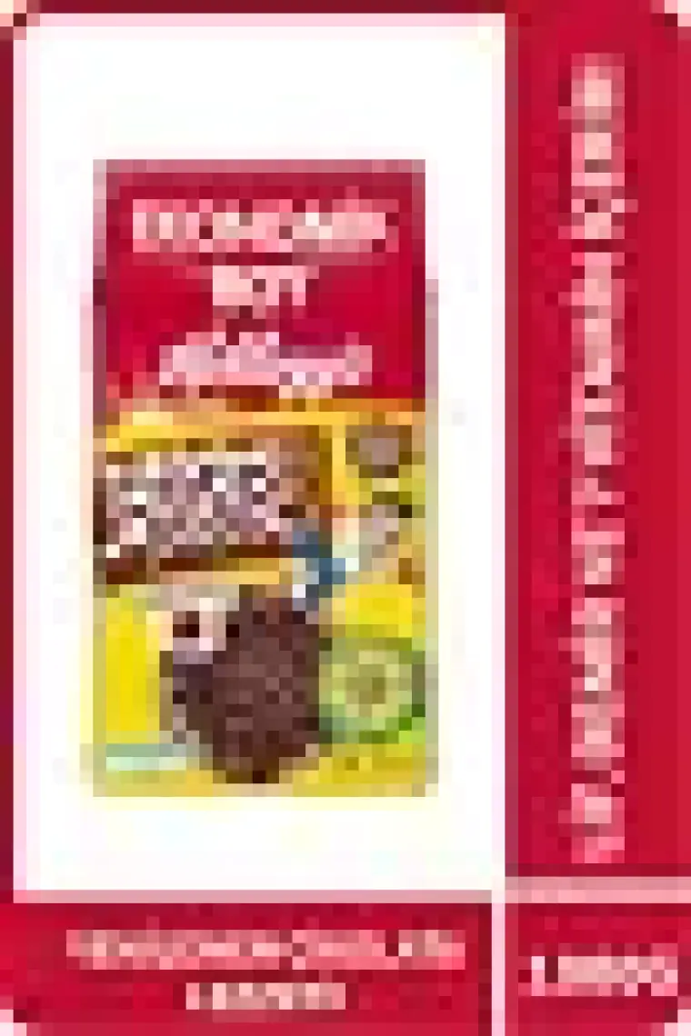 Kellogg's Coco Pops Tahıl Topları 1 kg