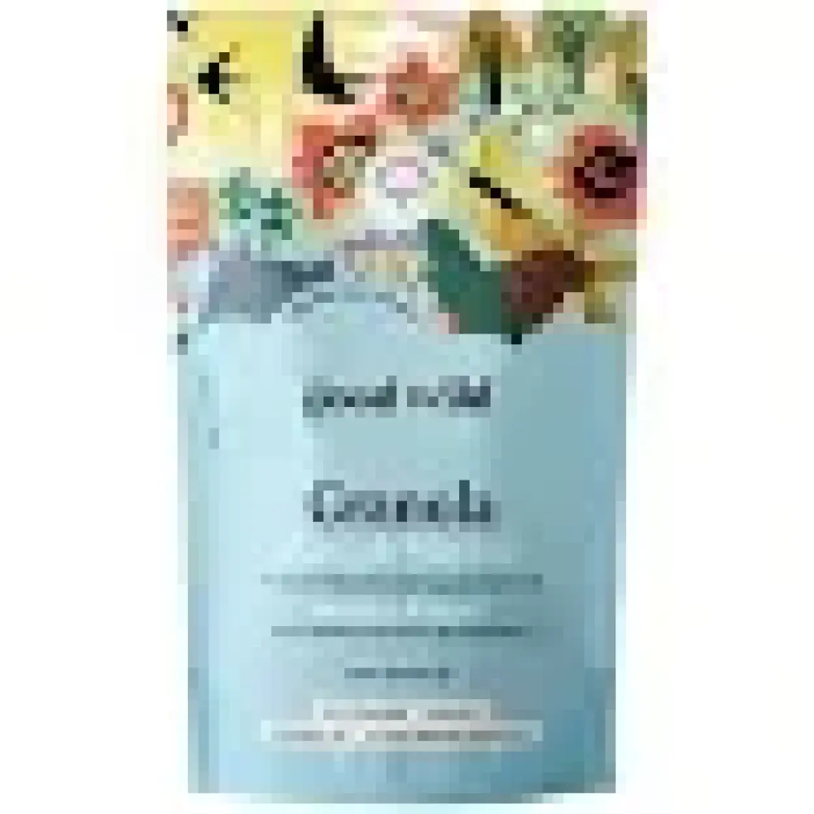 The Good Wild Glütensiz, İlave Şekersiz Granola Karışık Meyveli 300 G