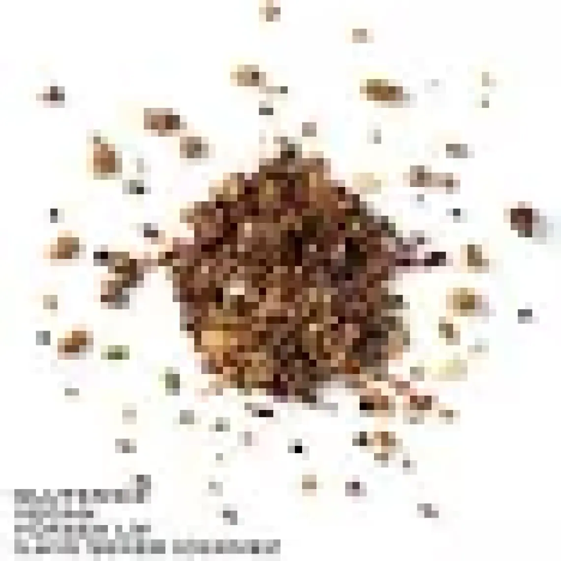 The Good Wild Glütensiz, İlave Şekersiz Granola Karışık Meyveli 300 G