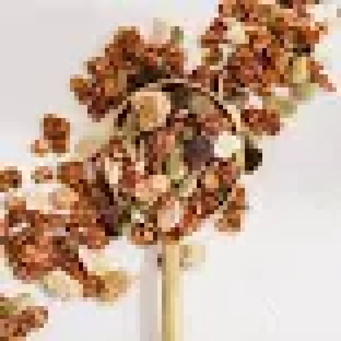 The Good Wild Glütensiz, İlave Şekersiz Granola Karışık Meyveli 300 G