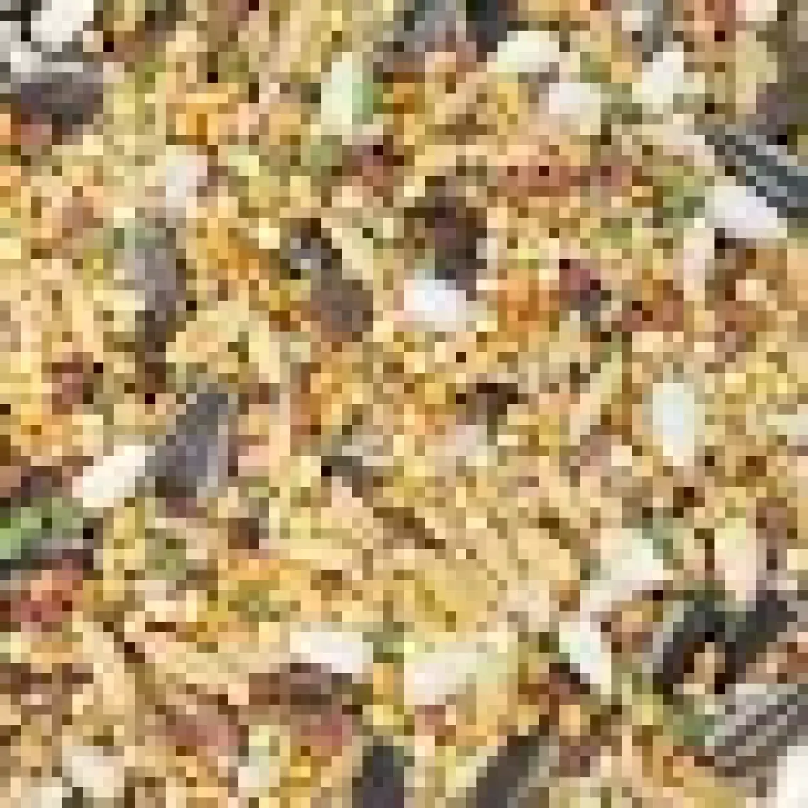 Versele Laga Prestige Premium Loro Parque Avusturalya Paraket Yemi 1 kg