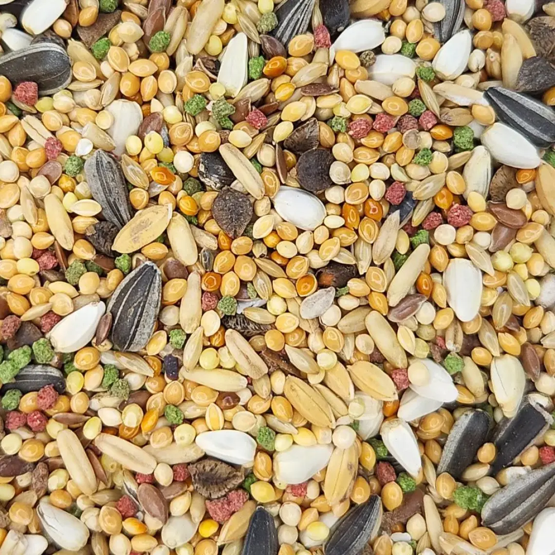 Versele Laga Prestige Premium Loro Parque Avusturalya Paraket Yemi 1 kg