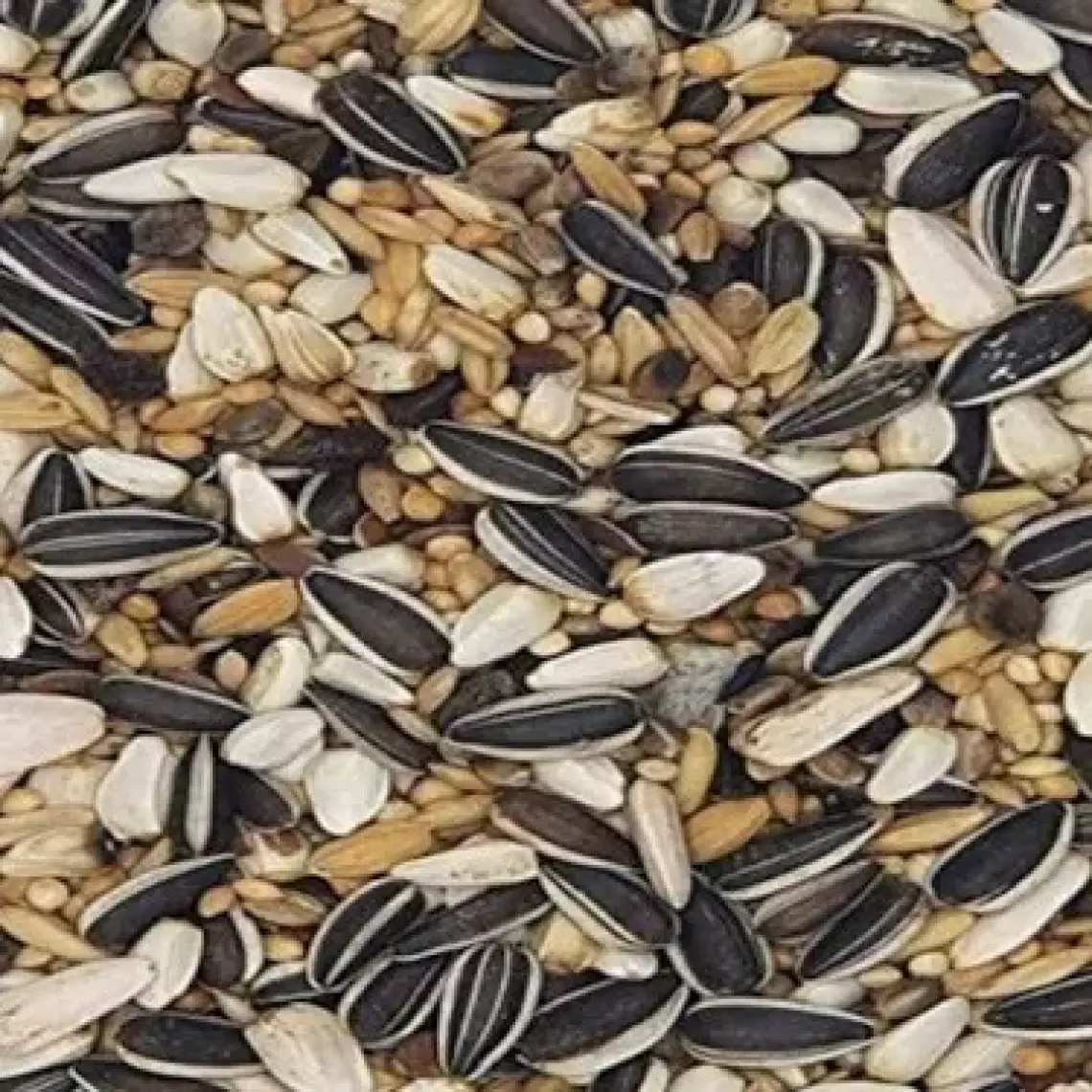 Versele Laga Paraket Yemi 1 kg