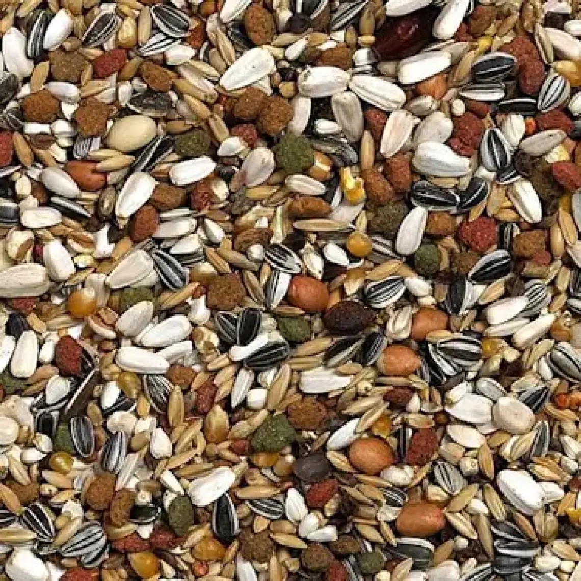 VERSELE LAGA PRESTİGE PARROT MİX 1 KG