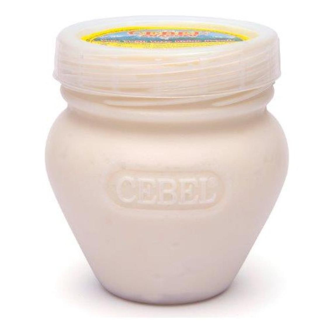 Cebel Bidon Peynir T.y. 800 gr Sade