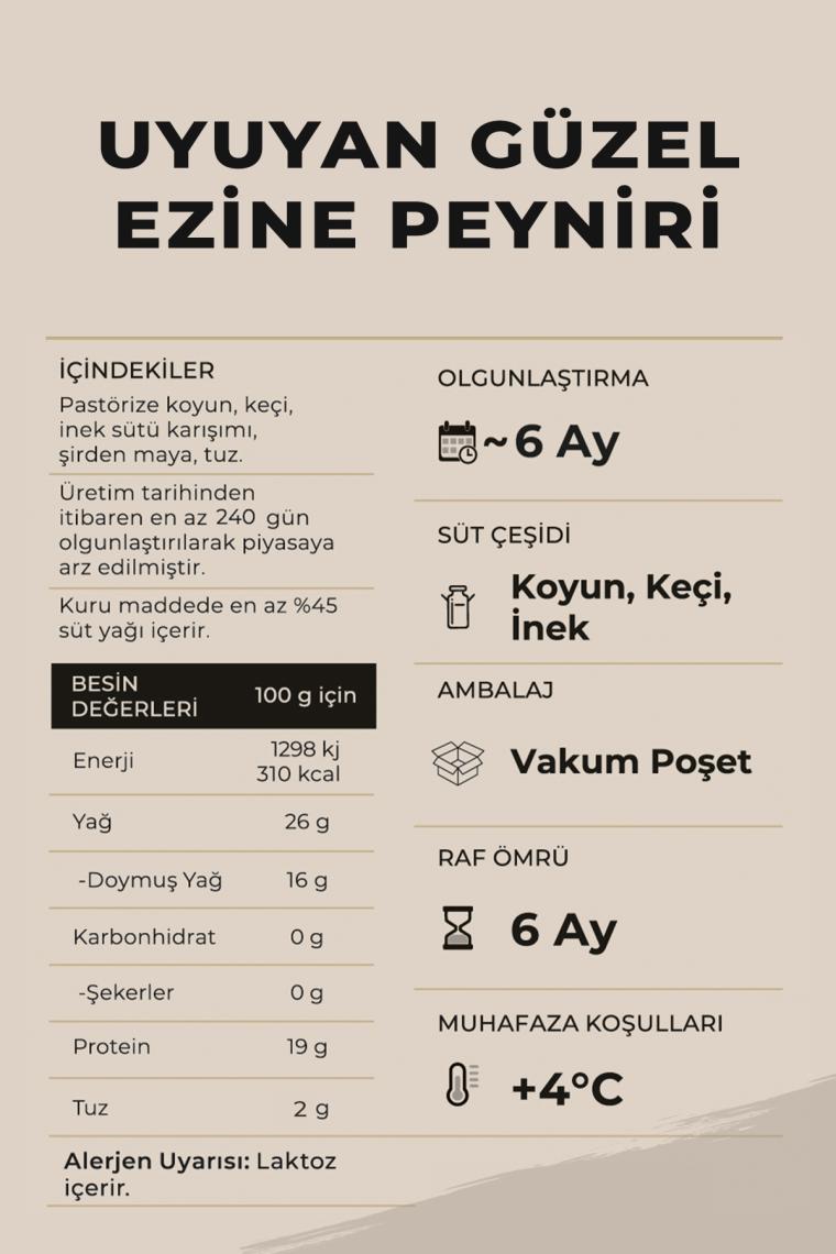 Ariste Uyuyan Güzel Tam Yağlı Ezine Peyniri 450 gr (Koyun Sütü Ağırlıklı) – Olgunlaştırılmış