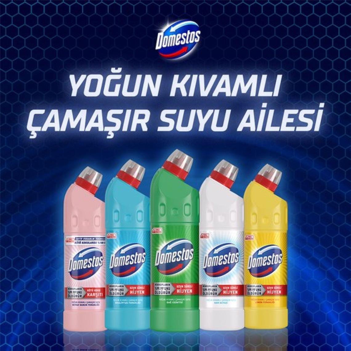 Domestos Yoğun Kıvamlı Çamaşır Suyu Okaliptüs Ferahlığı 750 ml