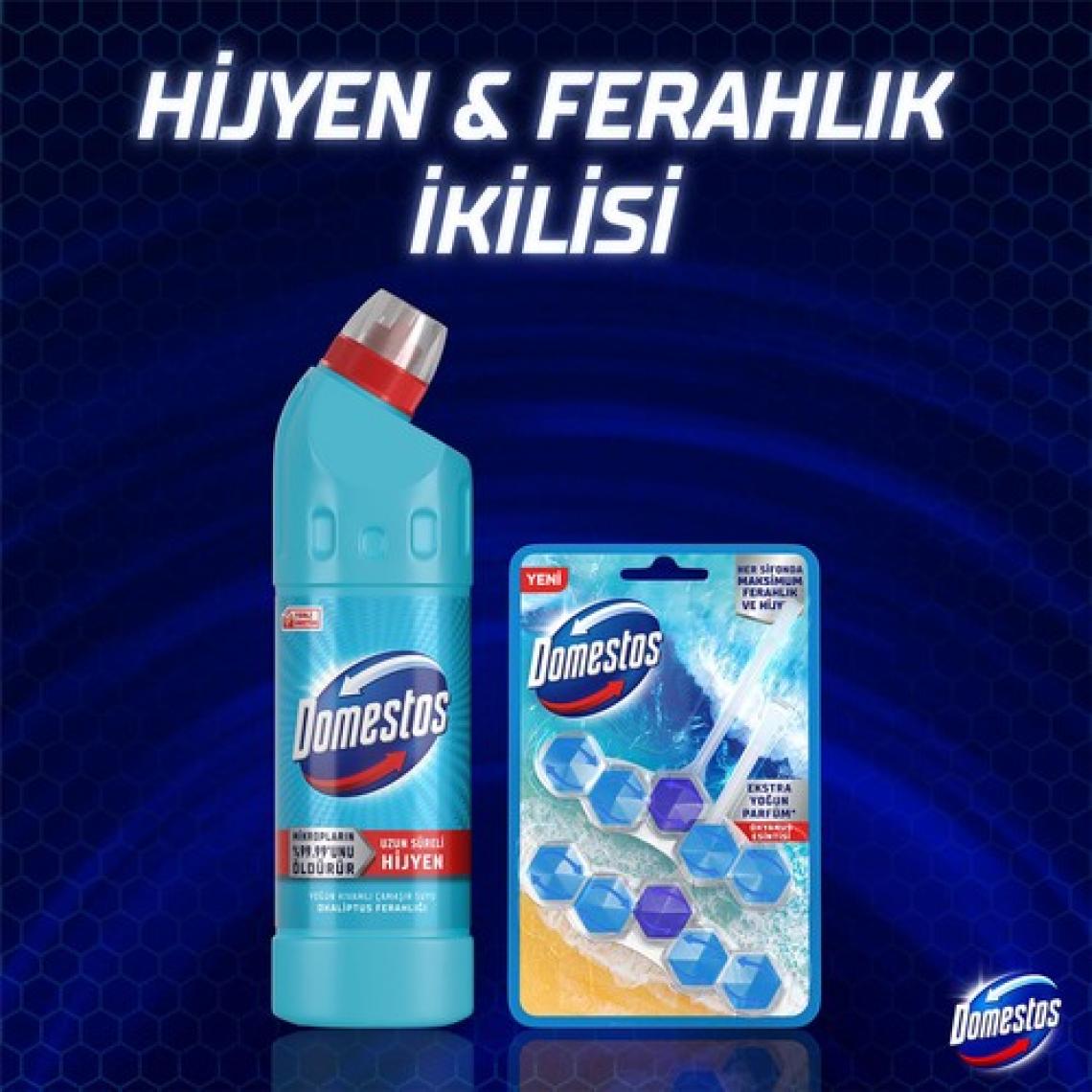 Domestos Yoğun Kıvamlı Çamaşır Suyu Okaliptüs Ferahlığı 750 ml
