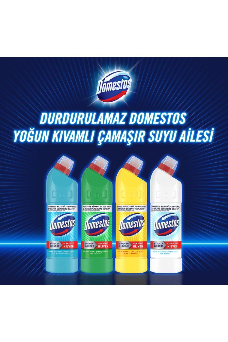 Yoğun Kıvamlı Çamaşır Suyu Dağ Esintisi Maksimum Hijyen 750 ml 6 Adet