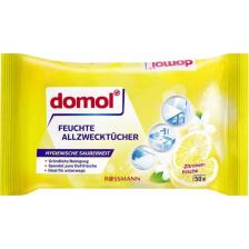 Domol Limon Kokulu Genel Amaçlı Bez / Mendil 50'li