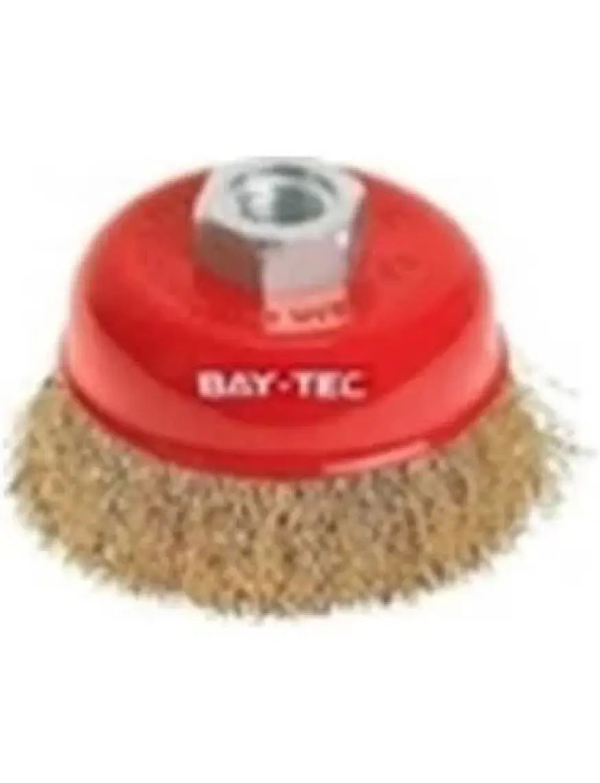 Baytech Baytec Saçaklı Çanak Fırça 100MM MK1130