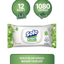 Islak Havlu Bahar Tazeliği 12'li Set 1080 Yaprak