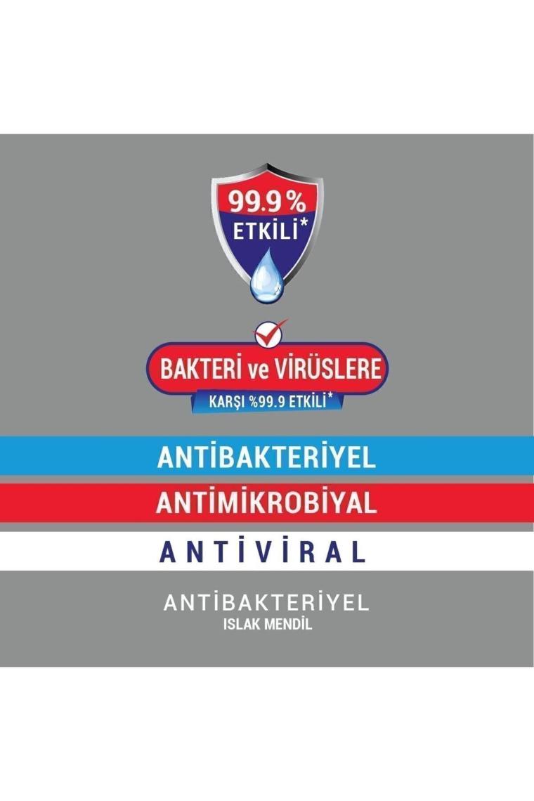Antibakteriyel Islak Havlu 12x50