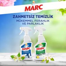 Banyo Temizleyici Kireç Sökücü Sprey 750