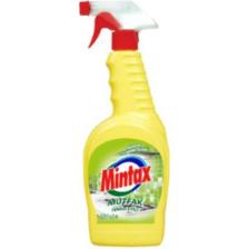 Mintax Mutfak Temizleyici 1 L