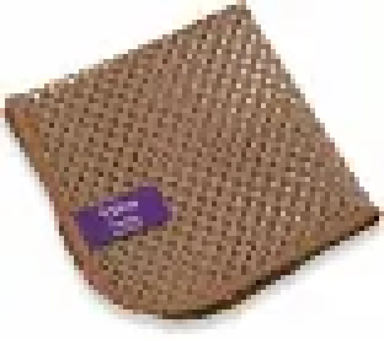 Silva Premium Bulaşık Filesi - Çizmeden Temizlik ve Dar Alanlarda Etkili Kullanım, 1 Adet, Dayanıklı Mikrofiber
