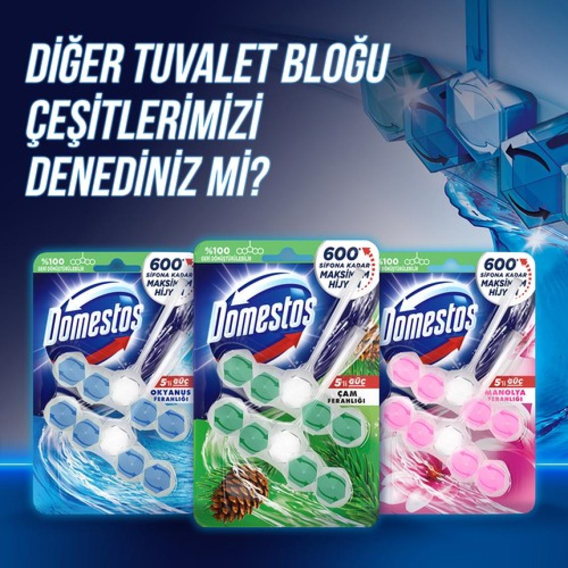 Domestos WC Blok 5'li Güç Tuvalet Bloğu Okyanus Ferahlığı Maksimum Hijyen 100 G