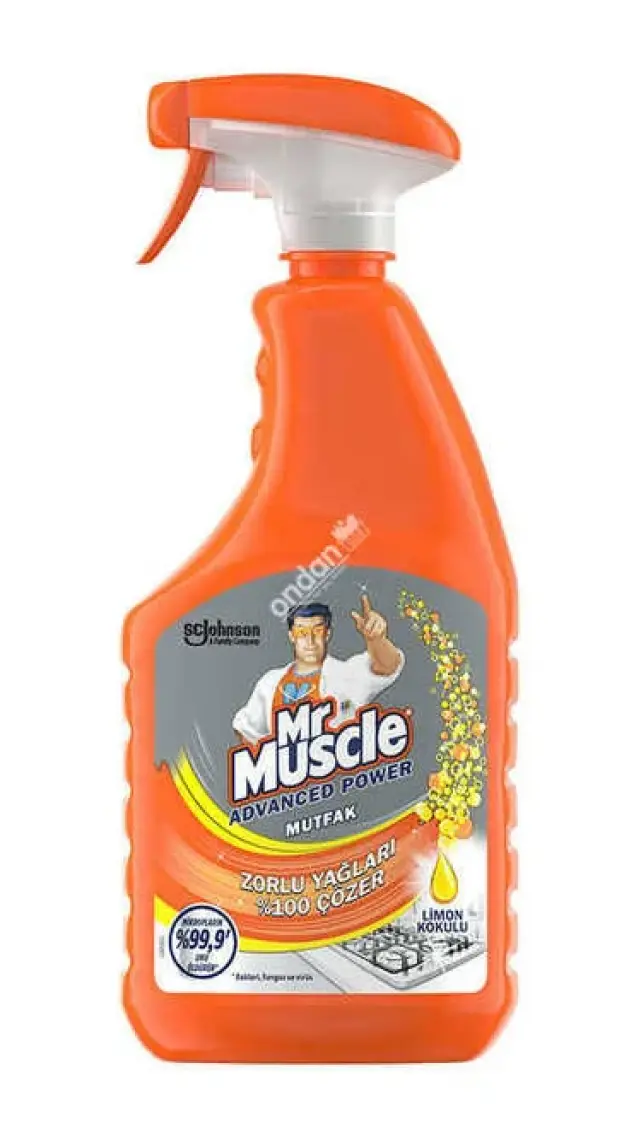 Mr Muscle Active Clean Klozet Blok Çam Kokulu 2'li