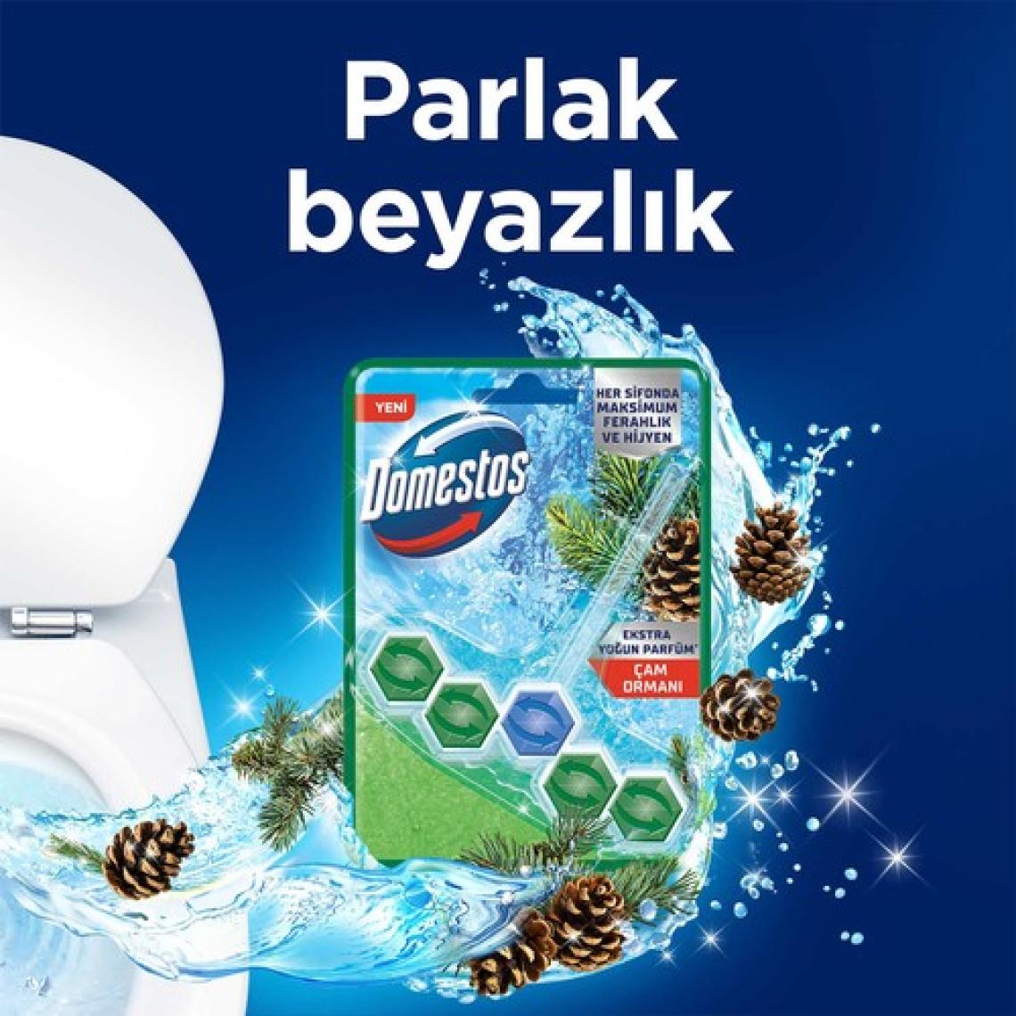 Domestos Tuvalet Bloğu Çam Ormanı 50 G