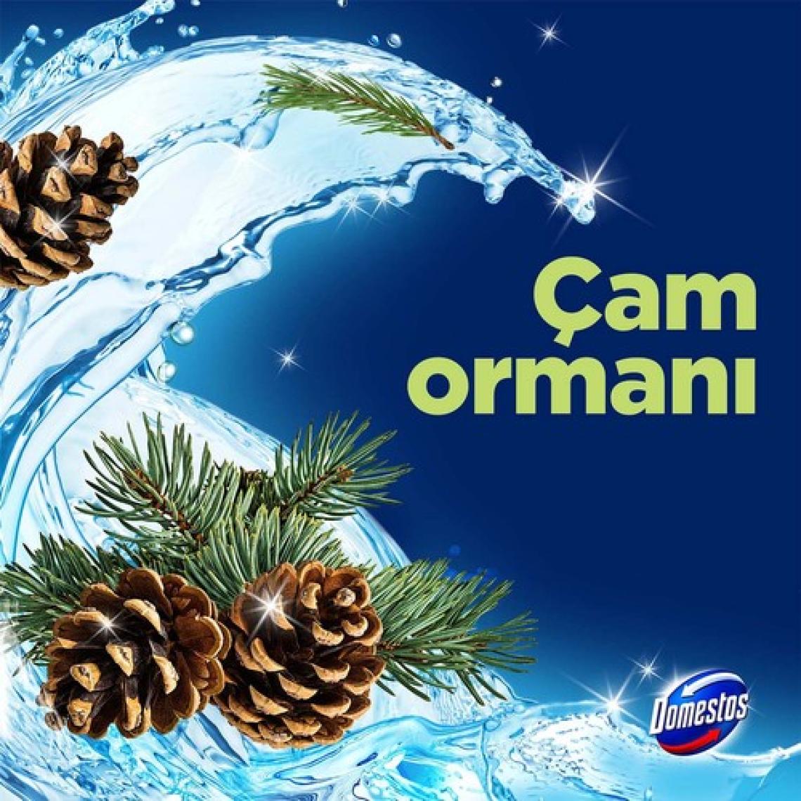Domestos Tuvalet Bloğu Çam Ormanı 50 G