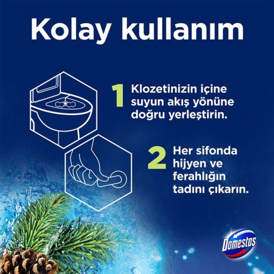 Domestos Tuvalet Bloğu Çam Ormanı 50 G