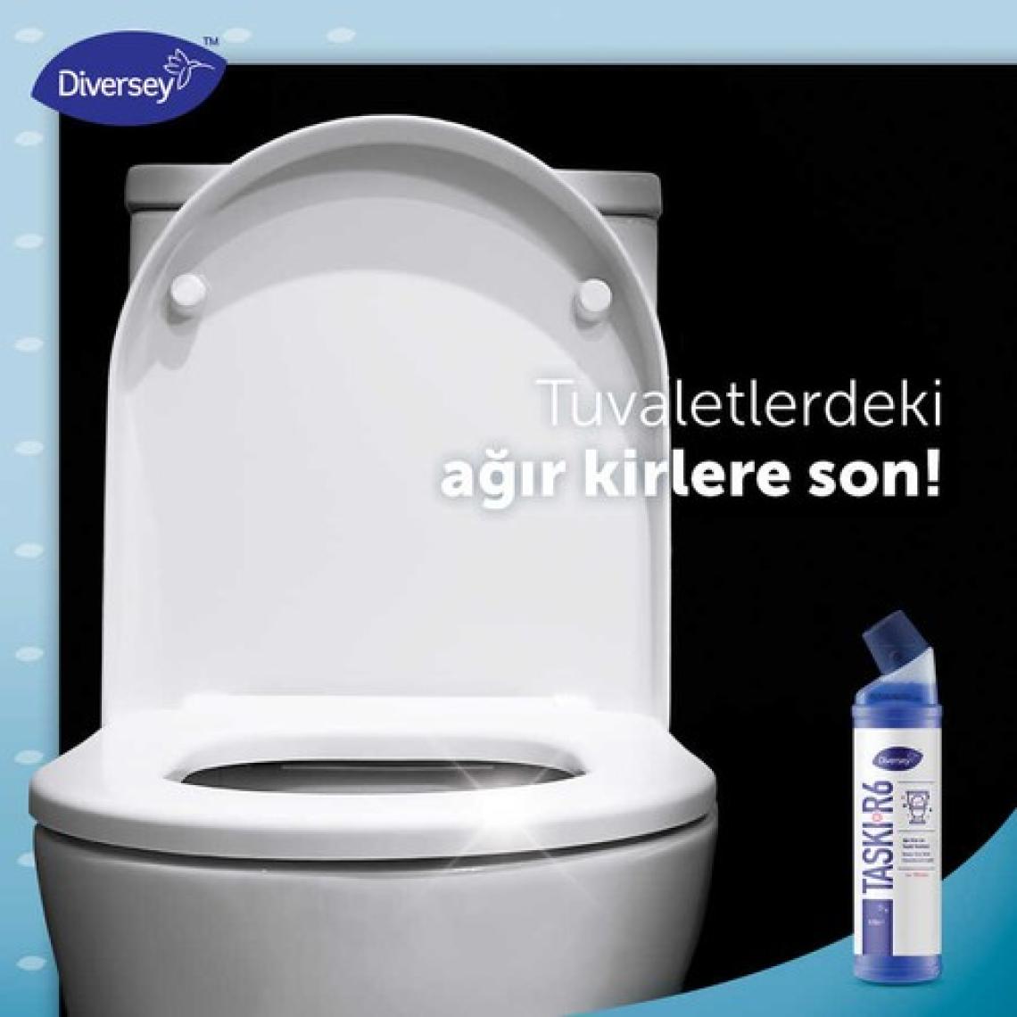 Diversey Room Care R6 Ağır Kirler Için Klozet Temizlik Ürünü 750 ml Online Özel