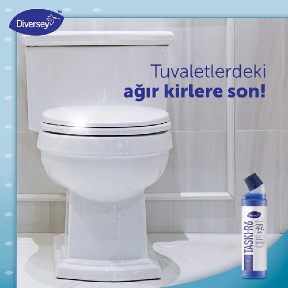 Diversey Room Care R6 Ağır Kirler Için Klozet Temizlik Ürünü 750 ml Online Özel