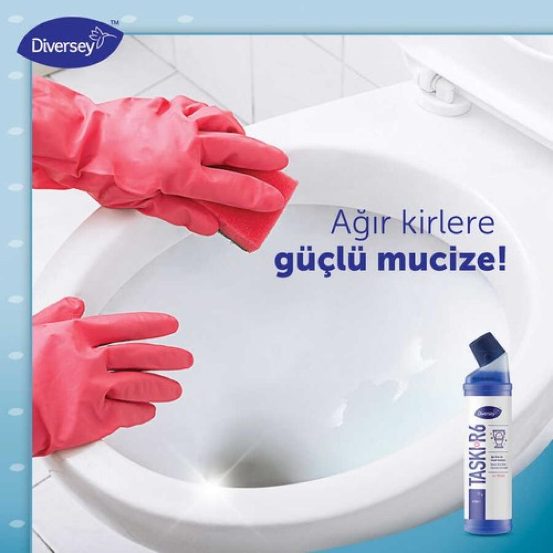 Diversey Room Care R6 Ağır Kirler Için Klozet Temizlik Ürünü 750 ml Online Özel
