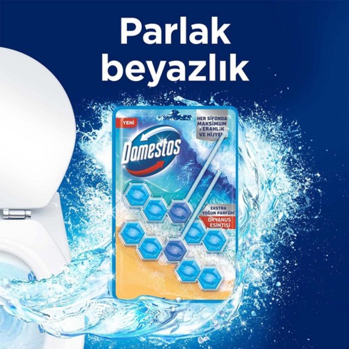 Domestos Tuvalet Bloğu Okyanus Esintisi 100 G