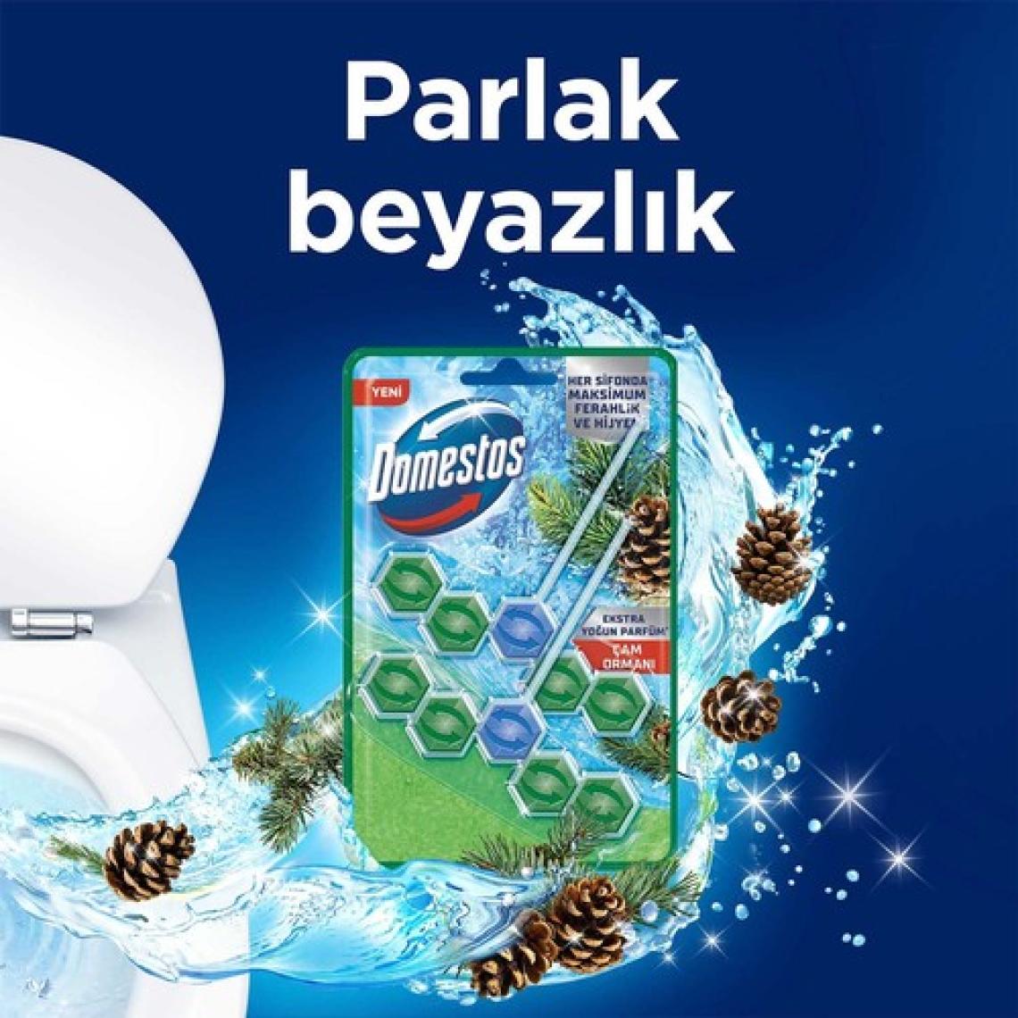 Domestos WC Blok 5'li Güç Tuvalet Bloğu Çam Ferahlığı Maksimum Hijyen 100 G