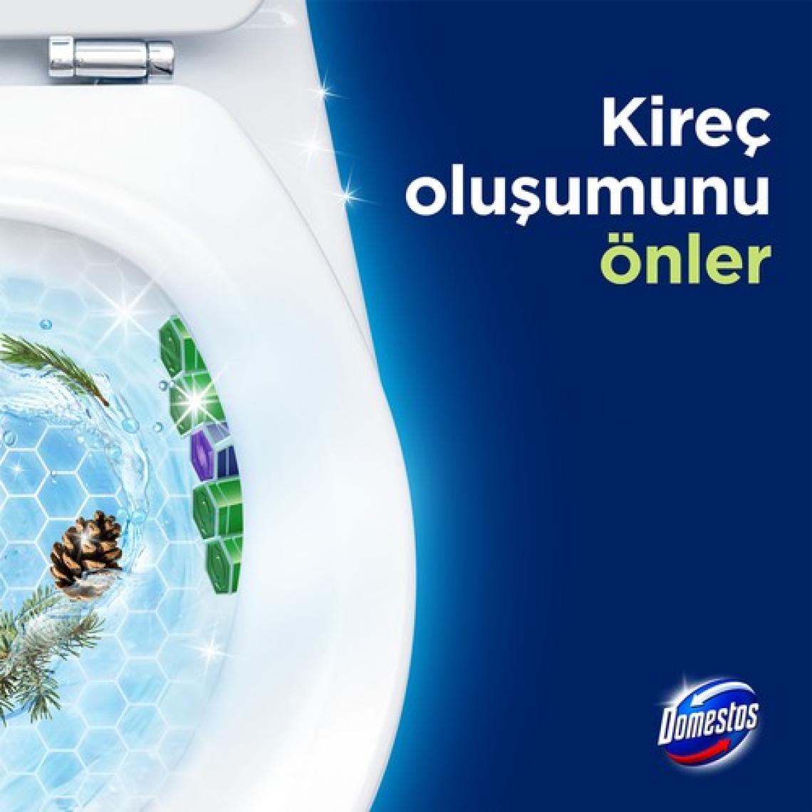 Domestos WC Blok 5'li Güç Tuvalet Bloğu Çam Ferahlığı Maksimum Hijyen 100 G