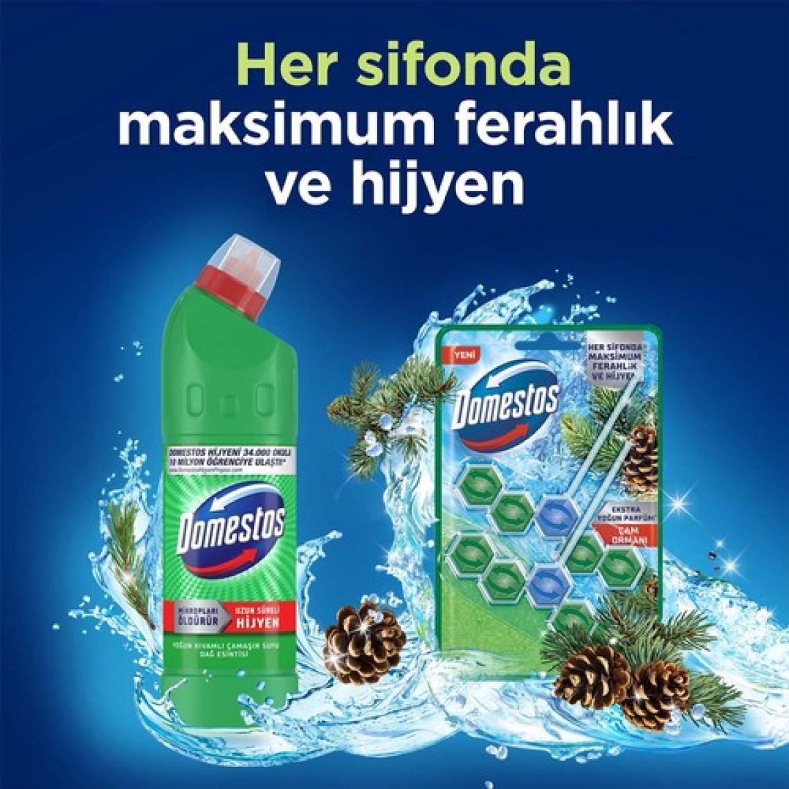 Domestos WC Blok 5'li Güç Tuvalet Bloğu Çam Ferahlığı Maksimum Hijyen 100 G