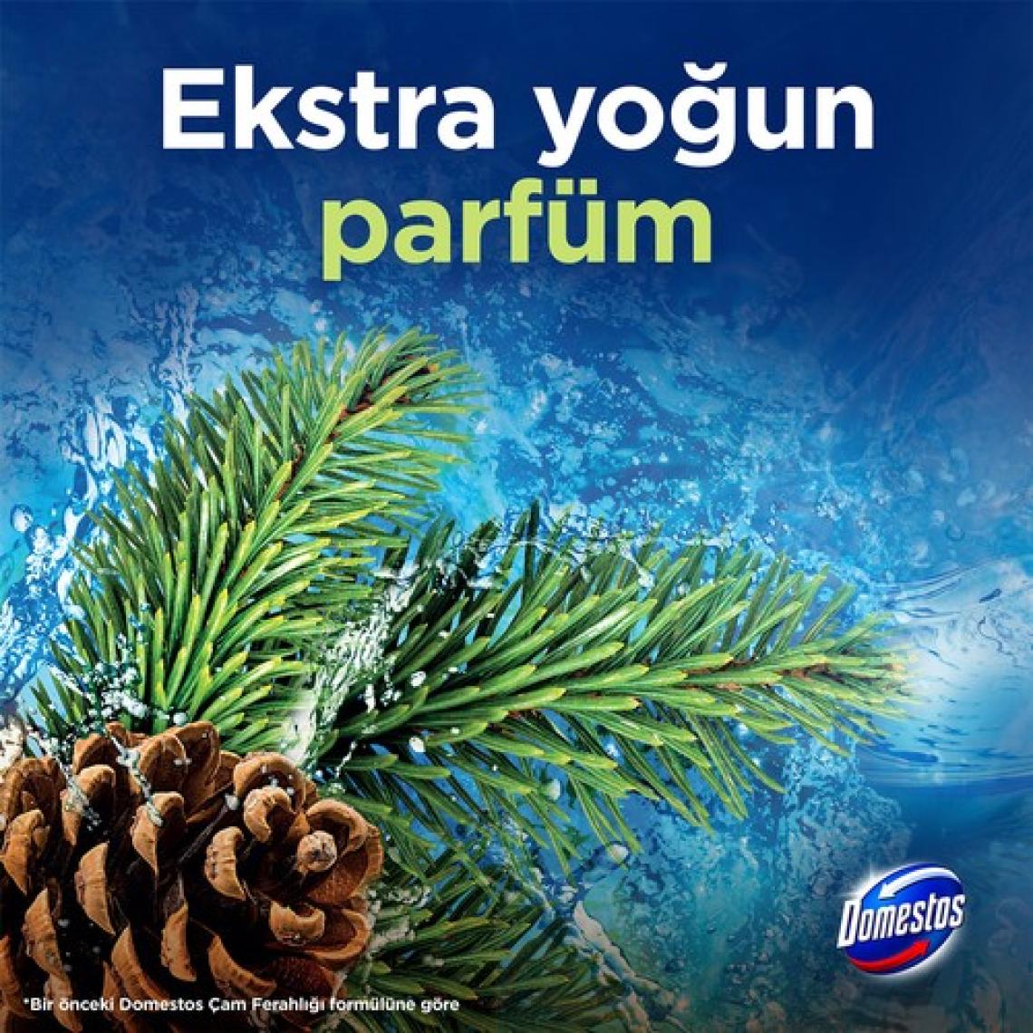 Domestos Tuvalet Bloğu Çam Ormanı 50 G
