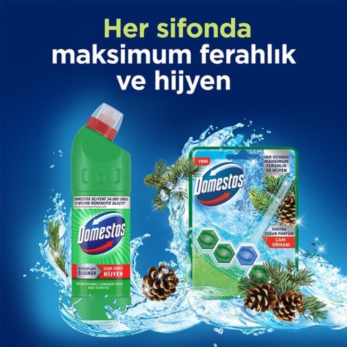 Domestos Tuvalet Bloğu Çam Ormanı 50 G